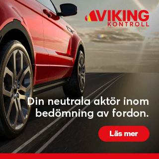 VIking